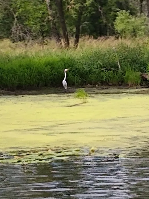 River's End Resort Picture 8