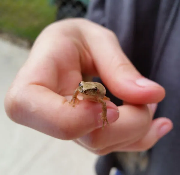 Wagon Wheel Campground Wisconsin Picture 8