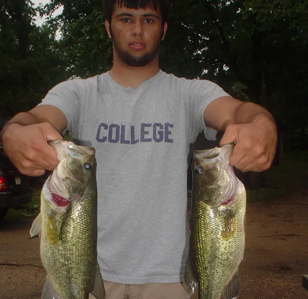 Wagon Wheel Campground Wisconsin Picture 6