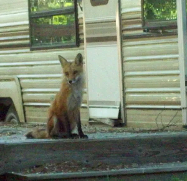 Wagon Wheel Campground Wisconsin Picture 9