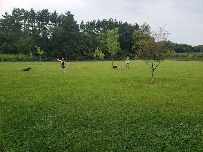 Shady Oaks Trailer Park & Campground Picture 4