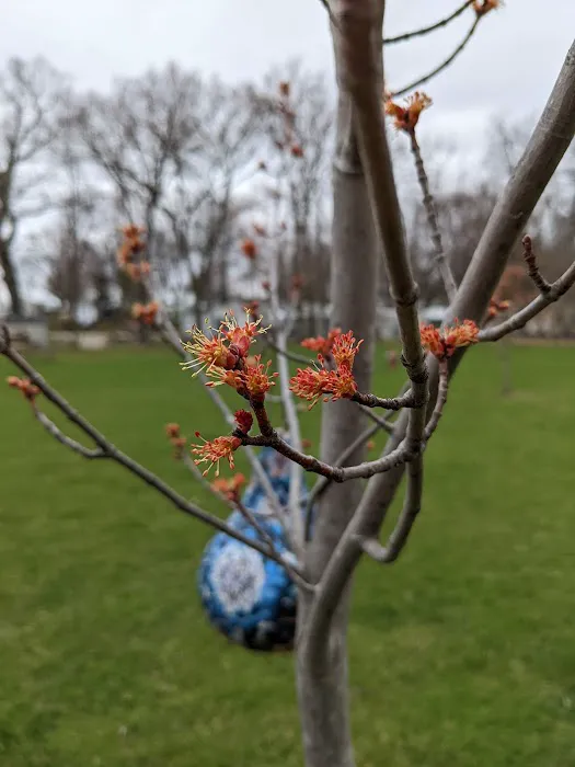 Shady Oaks Trailer Park & Campground Picture 3