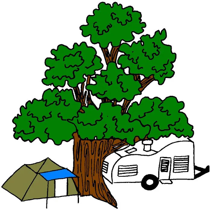 Shady Oaks Trailer Park & Campground Picture 8