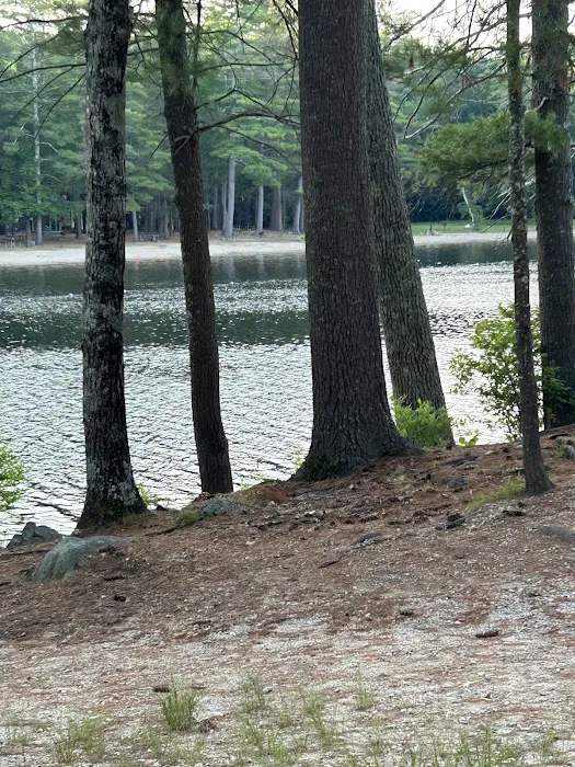 Puckaway Sands Resort Picture 5