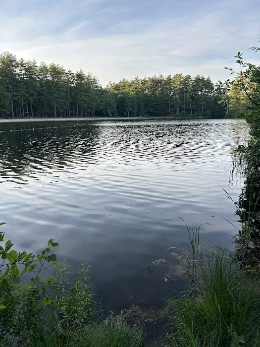 Puckaway Sands Resort Picture 7