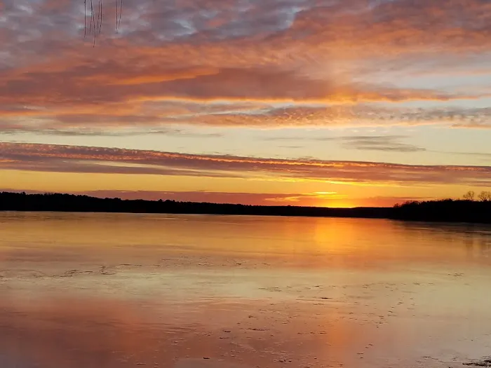 Buffalo Lake Camping Resort Picture 4