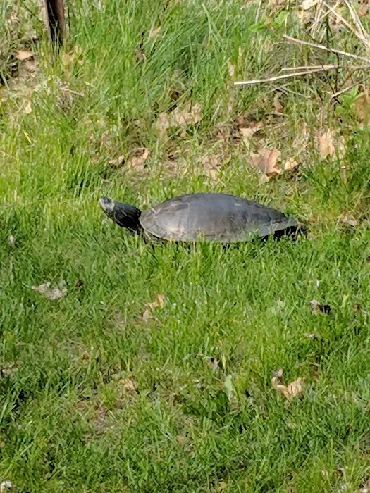 Hunter's Crooked River Camp Picture 8