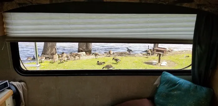 Edge Of The River Resort Picture 3