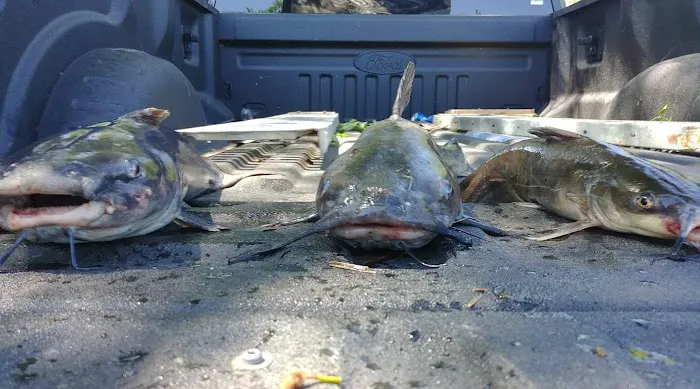 Edge Of The River Resort Picture 8