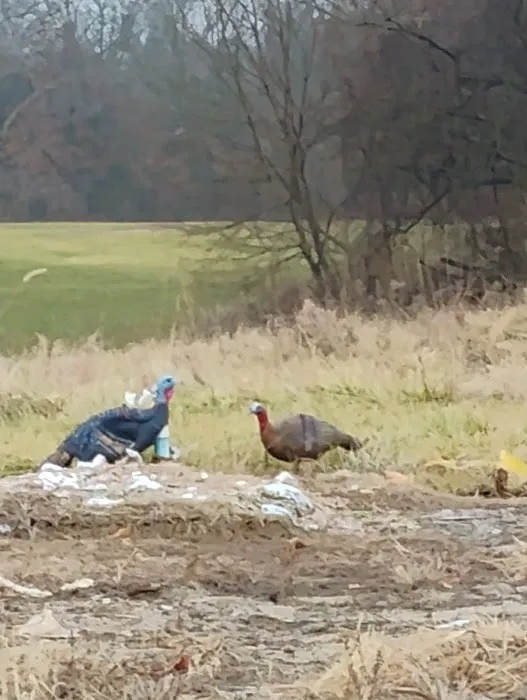 Keokuk Bridge Shop Picture 1