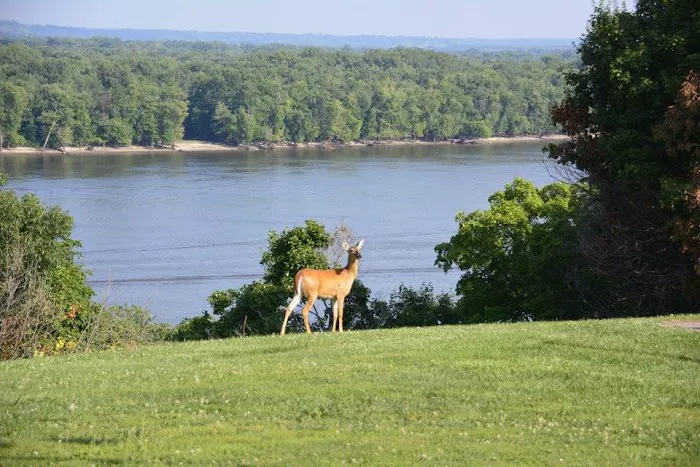 Spring Lake Campground Picture 7