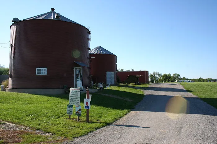 Buena Vista Farms Inc Picture 4