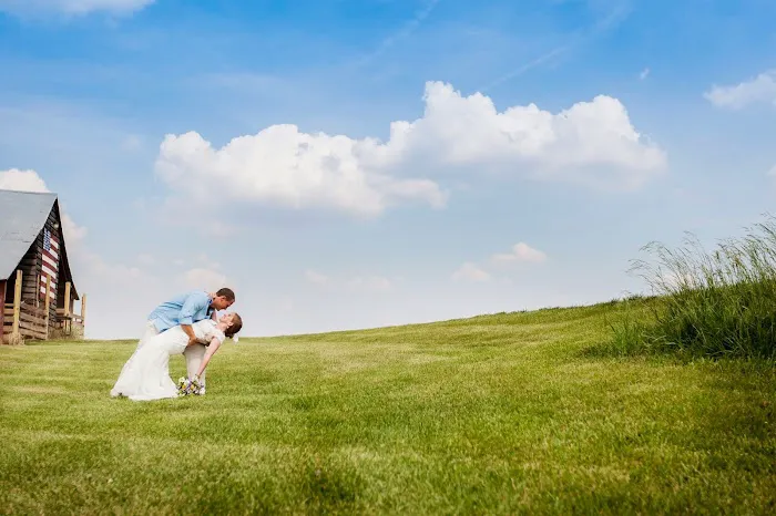 Buena Vista Farms Inc Picture 9