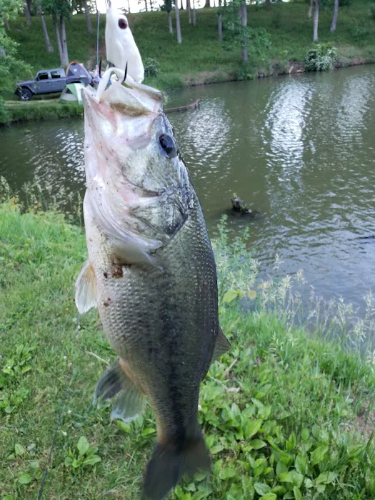 Waverly Lake Campground Picture 1
