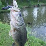 Waverly Lake Campground