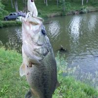 Waverly Lake Campground ico