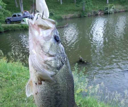 Waverly Lake Campground