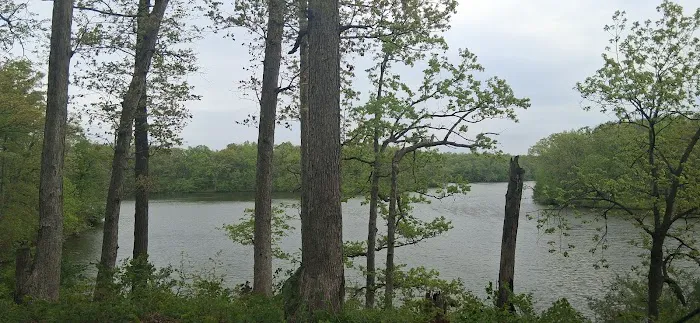 Waverly Lake Campground Picture 8