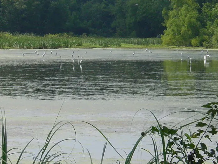 Flaming Prairie Park Picture 2