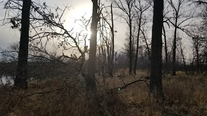 Flaming Prairie Park Picture 8
