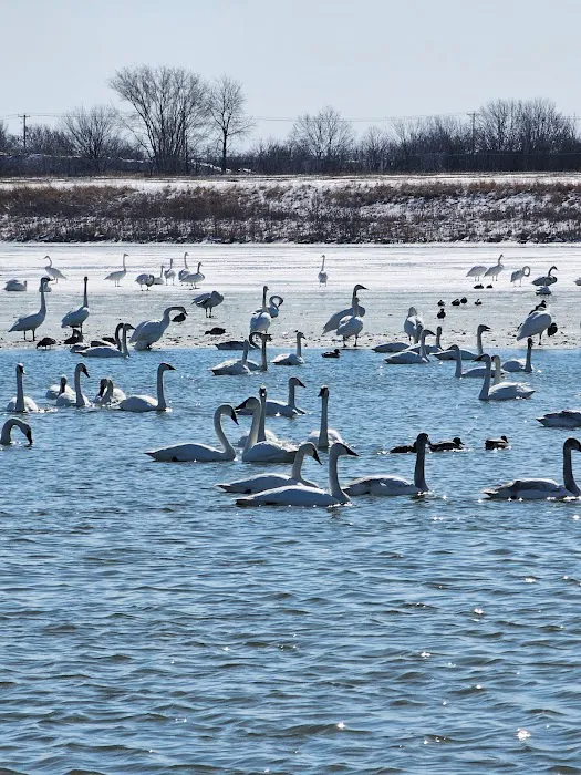 Swan Lake Lodge Picture 4