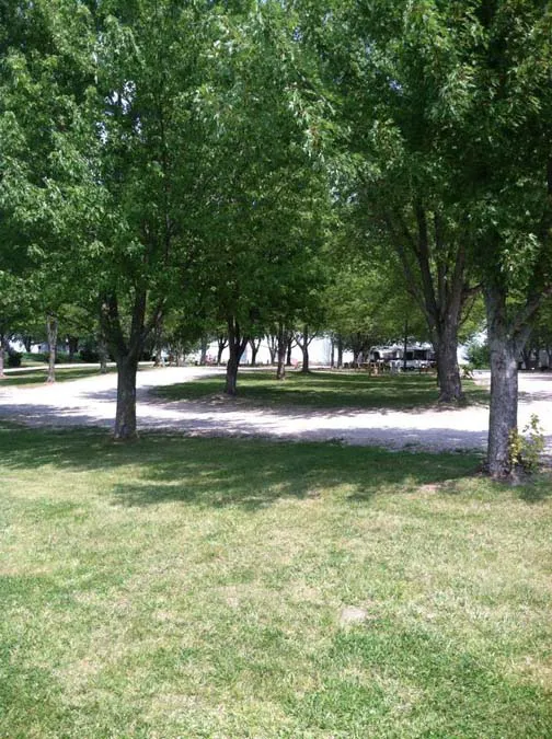 Papa's Paradise Campground Picture 3