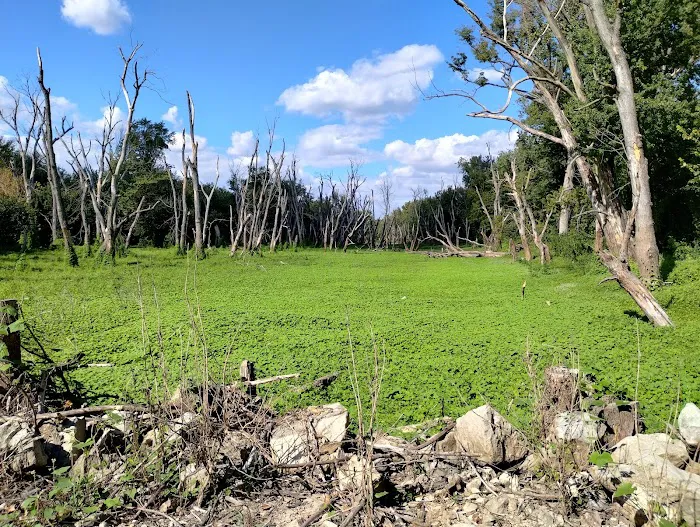 Blanchard Island Campground Picture 1