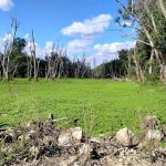 Blanchard Island Campground