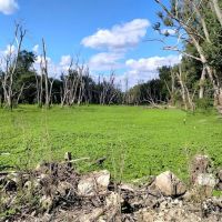 Blanchard Island Campground ico