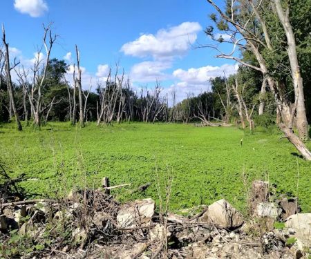 Blanchard Island Campground