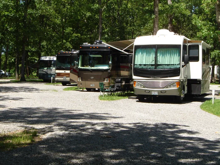 Whittington Woods Campground Picture 5