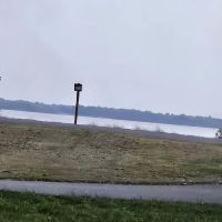 Wayne Fi.... Campground ico