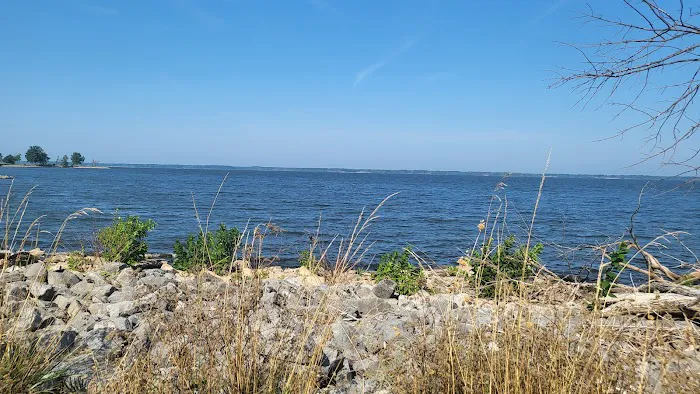 Wayne Fi.... Campground Picture 8