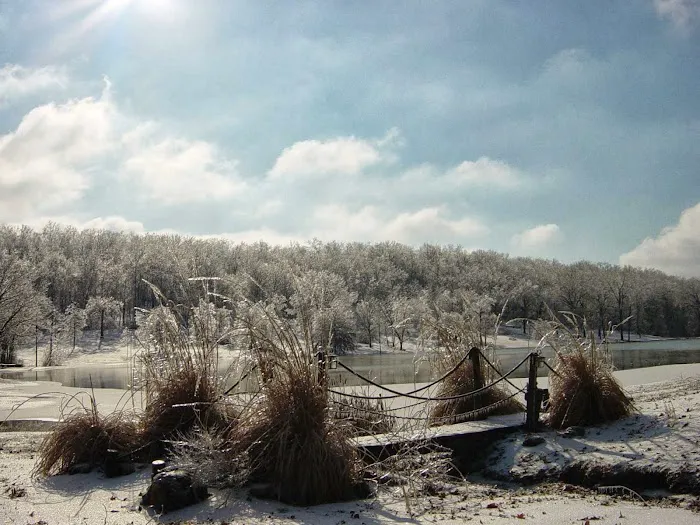 Whippoorwill Lake Family Campground Picture 6