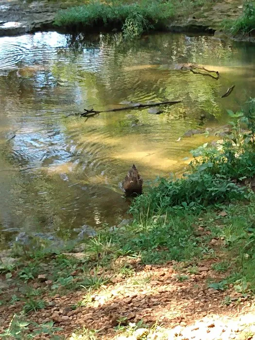 Ethan's Creek Picture 3