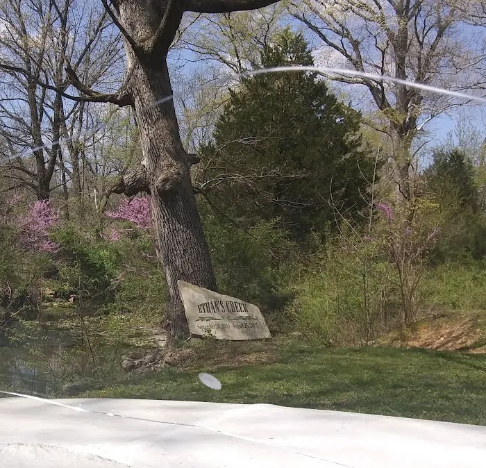 Ethan's Creek Picture 5