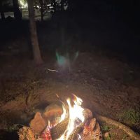 Camp Dawgwoodz ico