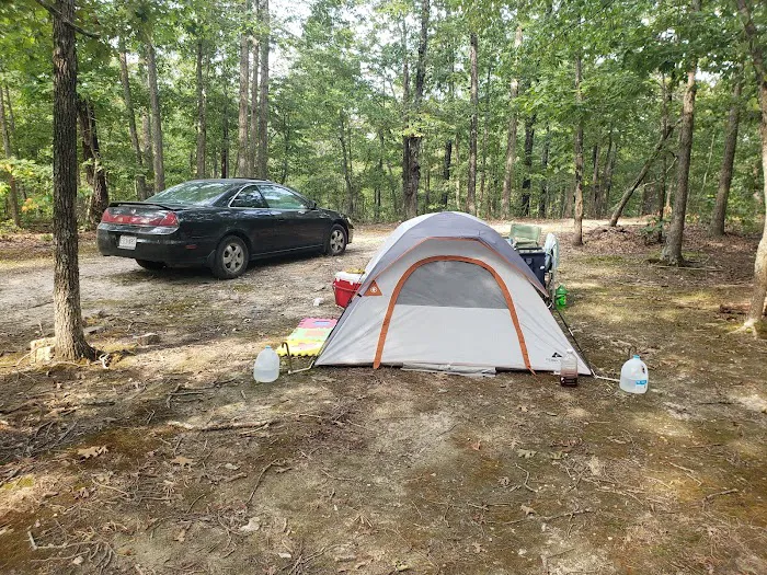Camp Dawgwoodz Picture 6