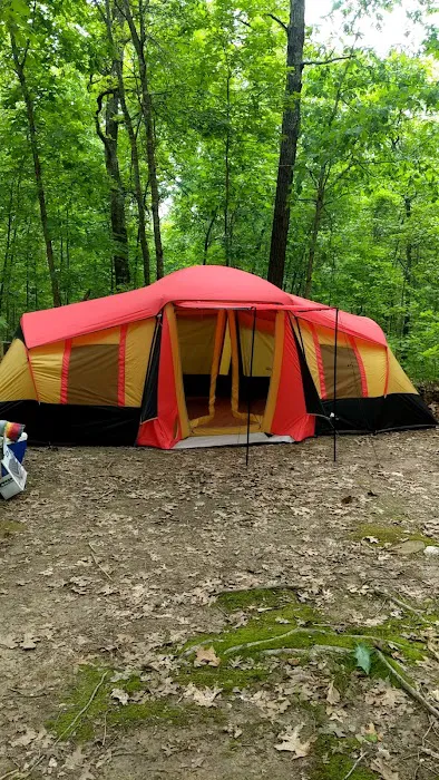 Camp Dawgwoodz Picture 10