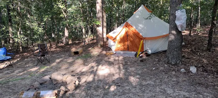 Camp Dawgwoodz Picture 14