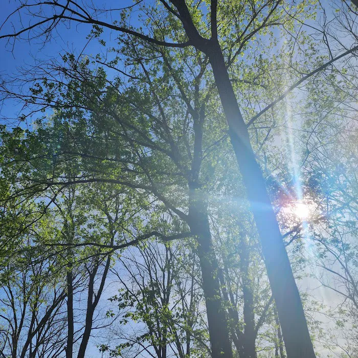 Castor River Hideaway Campground Picture 3