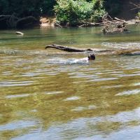 Castor River Campground ico