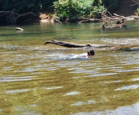 Castor River Campground