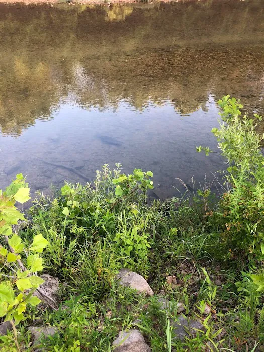 Arrowhead Campground Picture 6