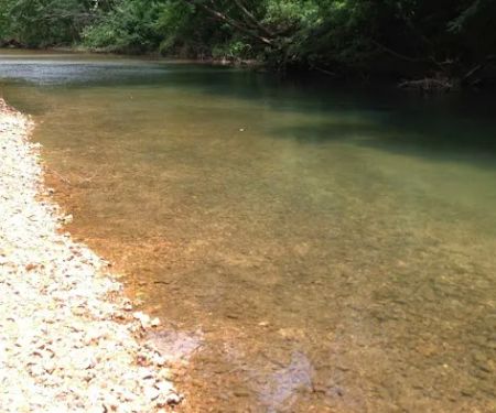 Waterfront Wanderlust: Creekside Camp