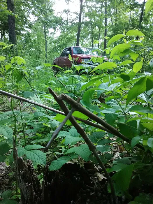 Waterfront Wanderlust: Creekside Camp Picture 3