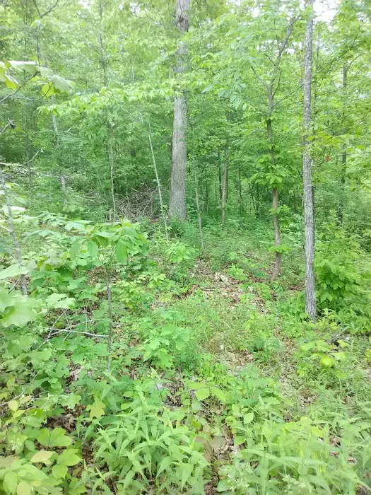 Waterfront Wanderlust: Creekside Camp Picture 5