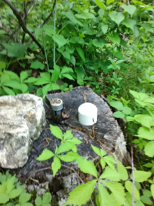 Waterfront Wanderlust: Creekside Camp Picture 4