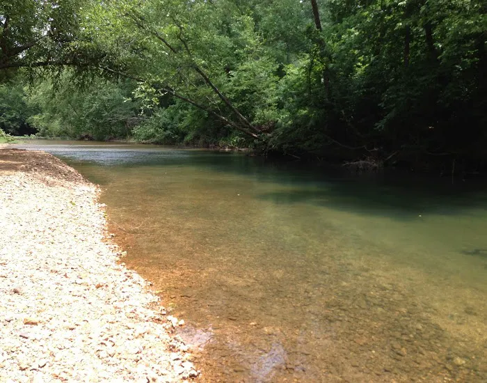Waterfront Wanderlust: Creekside Camp Picture 2