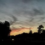 MacFarland Park Camp Sites